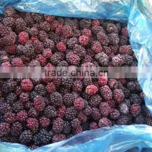 IQF Blackberry With Good Quality for Sale thumbnail-5