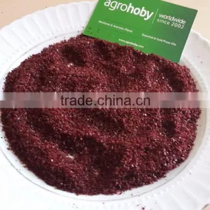 Sumac Powder Export , Best and Pure Sumac Spice thumbnail-1
