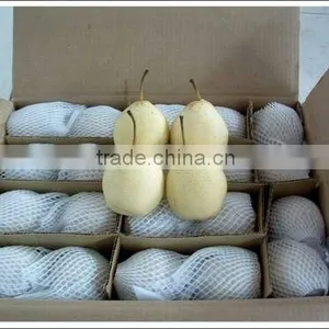 Grade A ya Pear thumbnail-2