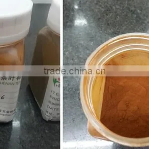 Black Tea Powder With Chinese Green Tea thumbnail-2