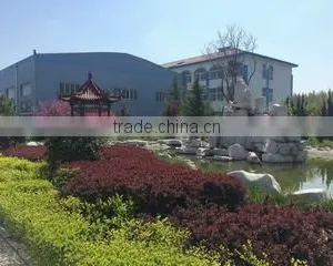 Qingdao Wantong Corrugated Plastic Product Co., Ltd. company overview - view 2 thumbnail