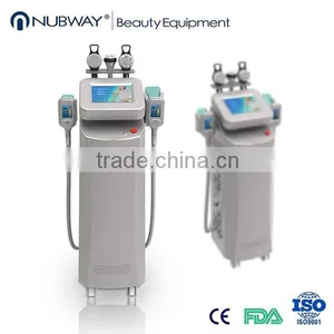 Flabby Skin Hottest Fatory Price 5 Handles Reduce Cellulite Cryolipolysis Fat Removal Slimming Vacuum Machine thumbnail-1