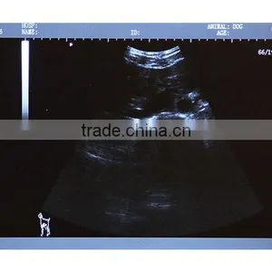 China Medical 6.5MHz Rectal Linear Probe 3.5MHz Convex Probe Portable Laptop Animal Ultrasound Machine thumbnail-6