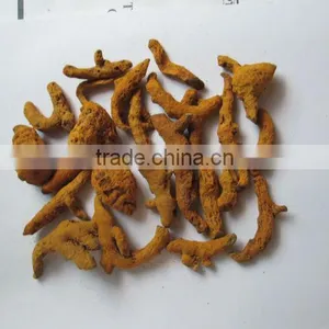 HOANG KIM VIETNAM'S TURMERIC ROOT thumbnail-1