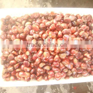 Chestnut thumbnail-1