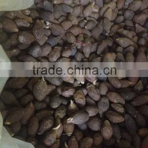 Dried Malva Nut thumbnail-1