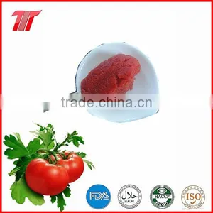 70g Sachet Tomato Paste From China Company thumbnail-4