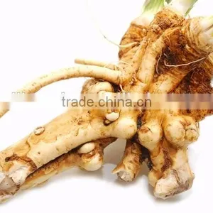 Dry Horseradish thumbnail-5