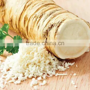 Factory Directly Sale Spicy Horseradish Powder thumbnail-3