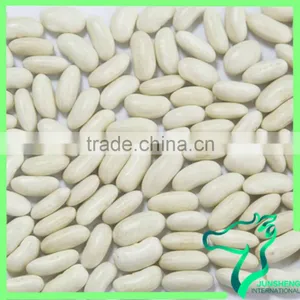 Long White Kidney Beans 2016 Crop Now On Sale thumbnail-1
