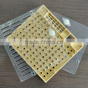 Apiculture Tools Beekeeping Queen Rearing thumbnail-5