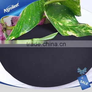 Soluble Humic Acid Power Organic Fertilizer Price thumbnail-1