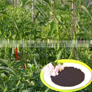 Crops and Plants Conbined NPK With TE Names Microbial Fertilizer thumbnail-4