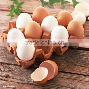 Promotion Egg Cooker for Gift LG-311 China thumbnail-3
