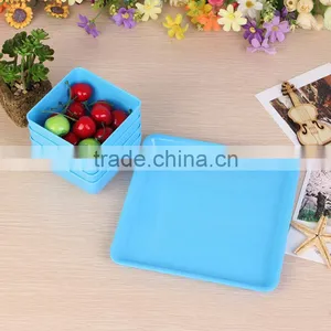 Cheap Price Wholesale Dry Fruit Decoration Pallets thumbnail-4