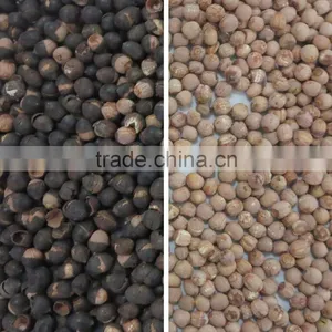 ZRWS Ccd Cereal Nut Color Sorter Supplier With Competitive Price thumbnail-5