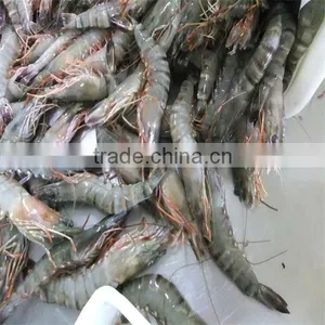 Frozen Simple Shrimp Recipes thumbnail-1