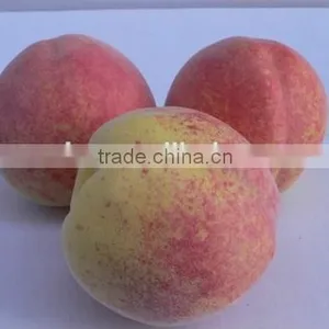 3 Realistic Artificial Peaches Fake Faux Fruits for Home Decor thumbnail-1
