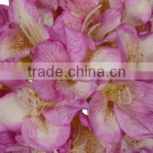 Wedding Decoration Fabric Textile Flower 27604H thumbnail-1