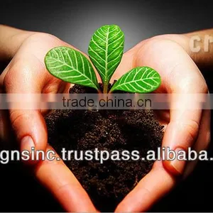 Virtual Web Designing thumbnail-1
