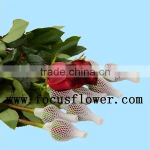 Supply Roses Flowers Fresh Cut White Color Rose Flowers Black Magic Rose With 0.8_1.2kg/bundle From Yunnan thumbnail-2