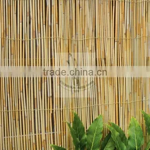 Reed Fencing Reed Fence thumbnail-1