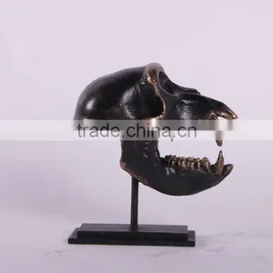 Macaque Skull on Base thumbnail-1