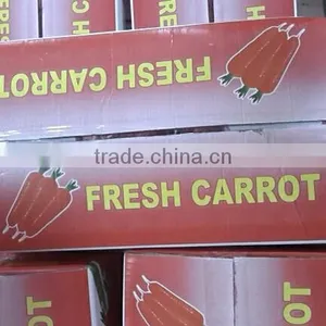 Wholesale Chinese Fresh Carrots With High Quality and Good Price thumbnail-3