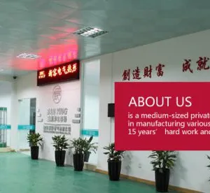 Taizhou Xinrong Electric Co.,ltd. company overview - view 1 thumbnail