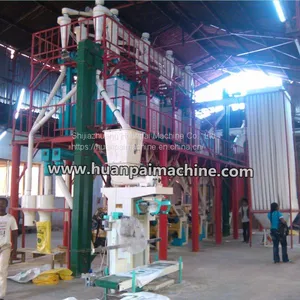 35-60TPD Maize Flour Production Process / Maize Milling Machines / Maize Milling Machine Price thumbnail-3