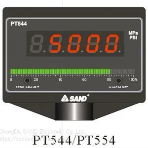 PT500 Series Digital Pressure Gauge Site thumbnail-2