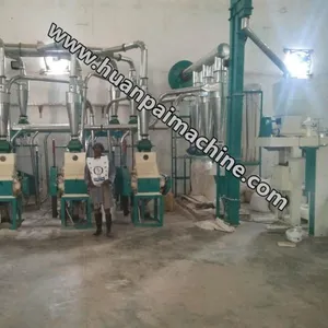 Fully Automatic Small Flour Mill Maize Machine Corn Wheat Grinder Making Machine thumbnail-5