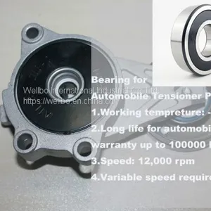 Подшипник для автомобильного ролика натяжителя 6007 2RS ACM C3 TN HG15 P5 -40~+180℃ thumbnail-1