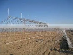 Single Span Greenhouse thumbnail-1