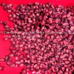 High Efficiency Automatic Fruit Pitting Machine Cherry Pitter Olive Pitter Machine for Fruit Processing Plants thumbnail-2