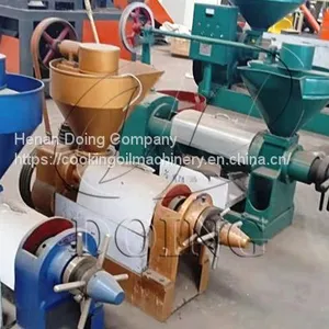 Peanut Oil Press Machine Equipement to Extract Peanut Oil Cooking Oil Process Machine thumbnail-4