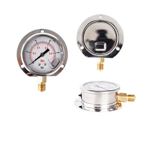 Stainless Steel Body, Brass Joints, Shock-resistant Oil-filled Bottom Mounting Pressure Gauge With Flange thumbnail-1