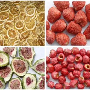 Machine to Dry Fruits/solar Fruit Drying Machine/industrial Fruit Drying Machine thumbnail-6