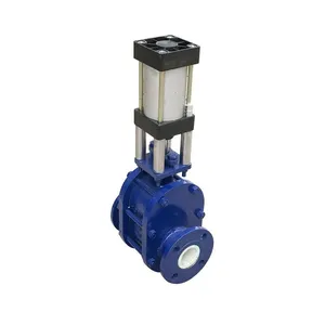 High Quality Double Plate Gate Valve From the Factory thumbnail-4
