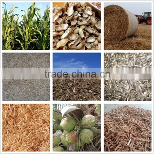Peanut Shell and Wood Sawdust Pellet Making Machine and Wood Pellet Production Line Hot Exported to Russia thumbnail-5