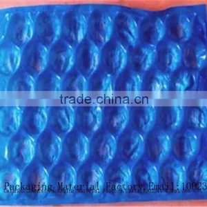 Professional Manufacture Fruit Packaging Tray With Holes Cup Holder thumbnail-4
