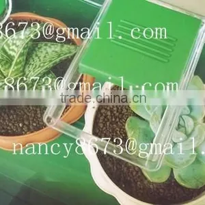 MINI GREEN HOUSE,Mini Green House thumbnail-2