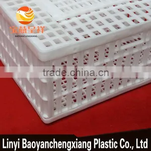 New Product Plastic Sales Small Chicken Coop Professional Designs thumbnail-6