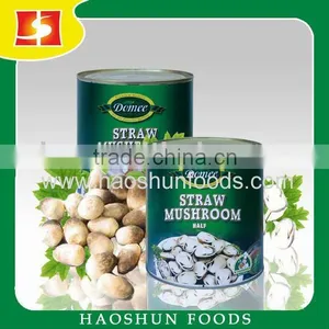 Canned Whole Mushroom Canned Vegetable Canned Food thumbnail-1