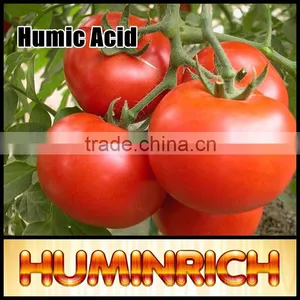Huminrich Shenyang Brand Refined Leonardite Source Bio Organic Manure thumbnail-1