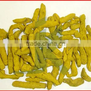 CURCUMA LONGA - HALDI thumbnail-1