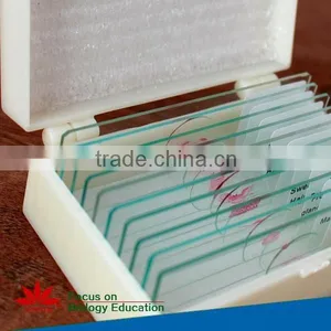 Embryology Slides Individual Microscope Prepared Slide thumbnail-4
