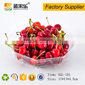Promotional Transparent Plastic Pet Tray thumbnail-1