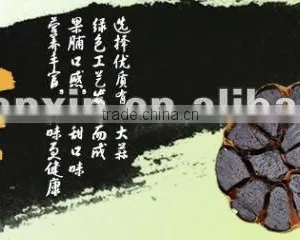 Black Garlic Hot Sale thumbnail-1