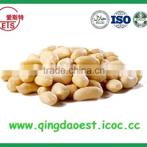 Shandong Groundnut Peanut Kernels in Best Price thumbnail-4